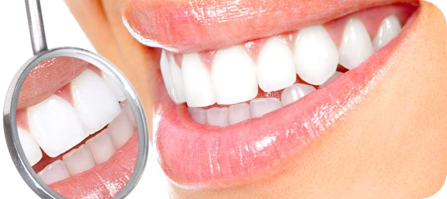 Post: Braces 101: Types, How They Work, and What You Need to Know About Braces at PB Braces in West Palm Beach, Royal Palm Beach, and Lantana, FL Post: Braces 101: Types, How They Work, and What You Need to Know About Braces at PB Braces in West Palm Beach, Royal Palm Beach, and Lantana, FL